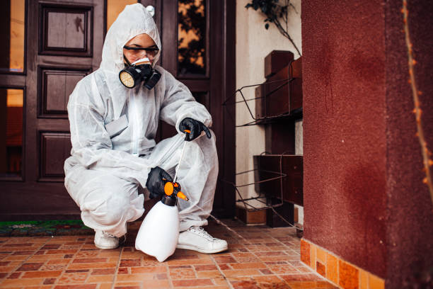 Reliable Bed Bug Control contractor in Bay City, TX by Nex Pest Control